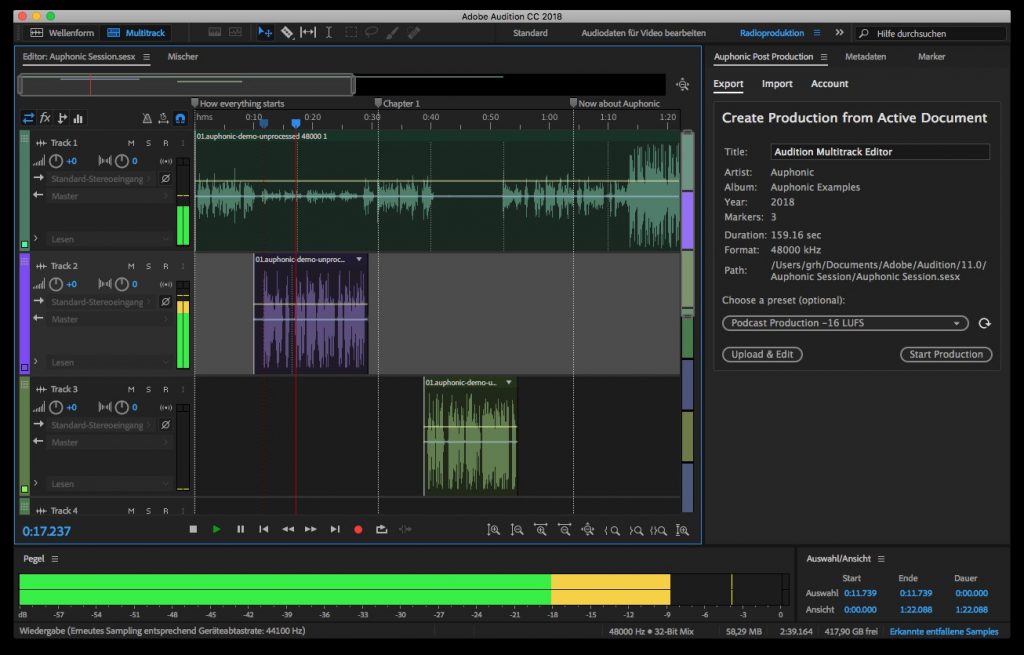 View of coomputer screen running Adobe Audition.